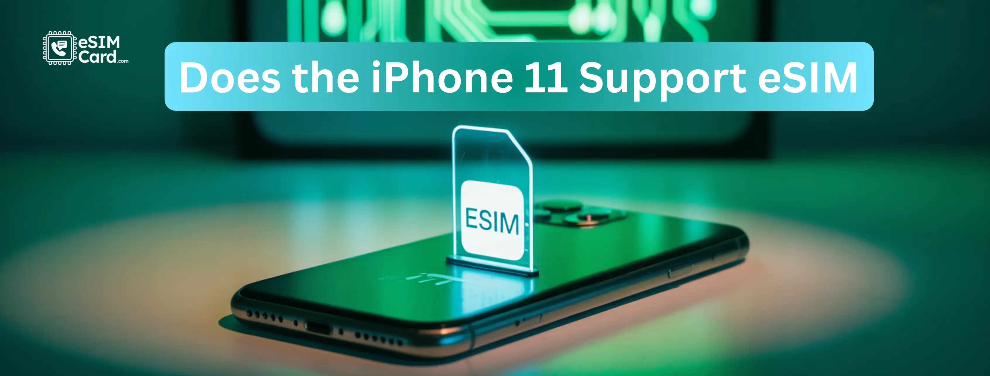 Does iPhone 11 Support eSIM? DualSIM Guide for Travelers